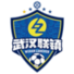 武汉联镇